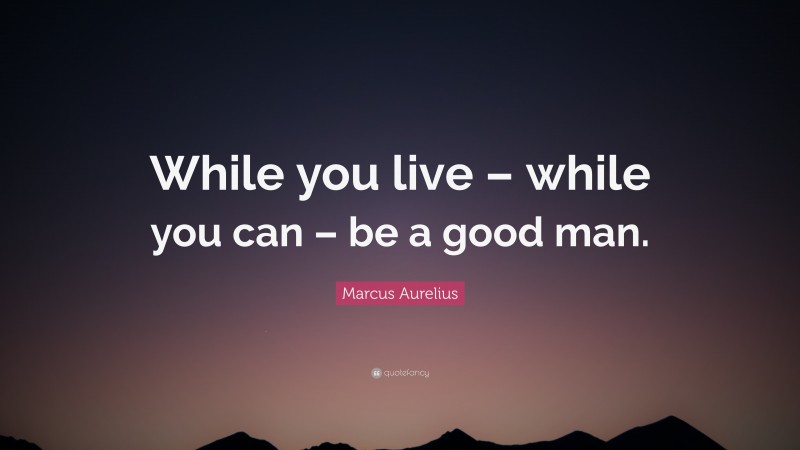 Marcus Aurelius Quote: “While you live – while you can – be a good man.”