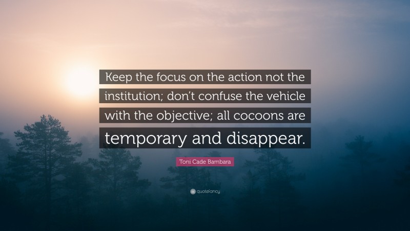 Toni Cade Bambara Quote: “Keep the focus on the action not the institution; don’t confuse the vehicle with the objective; all cocoons are temporary and disappear.”