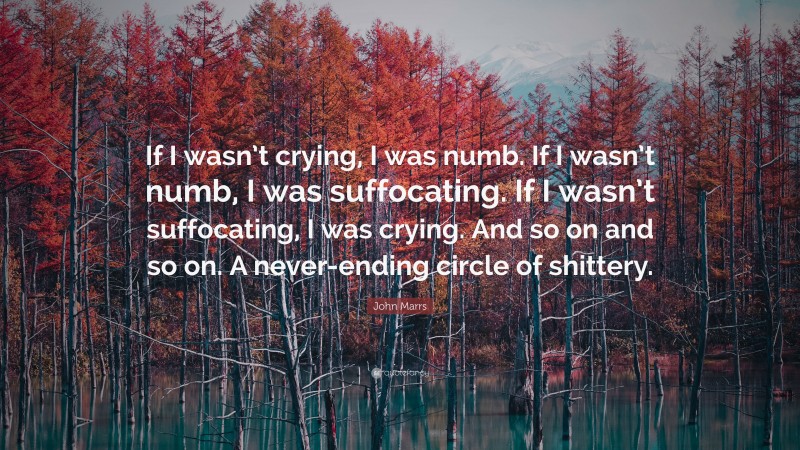 John Marrs Quote: “If I wasn’t crying, I was numb. If I wasn’t numb, I was suffocating. If I wasn’t suffocating, I was crying. And so on and so on. A never-ending circle of shittery.”