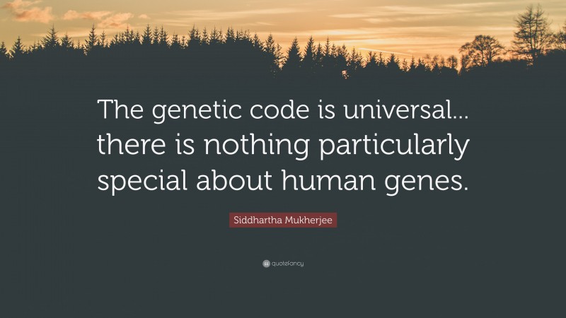 Siddhartha Mukherjee Quote: “The genetic code is universal... there is nothing particularly special about human genes.”