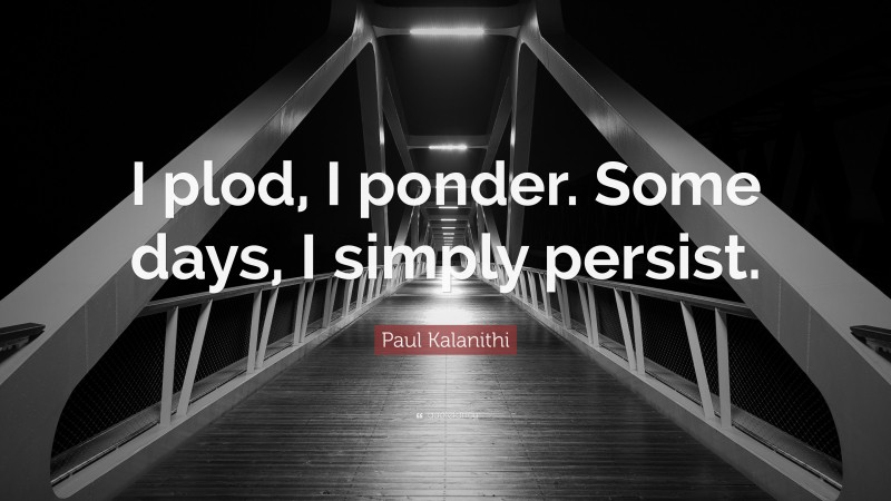 Paul Kalanithi Quote: “I plod, I ponder. Some days, I simply persist.”