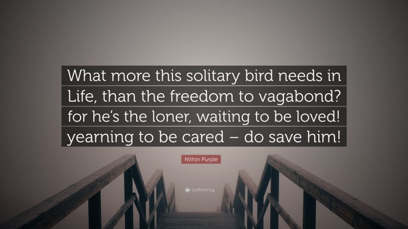 Nithin Purple Quote: “What more this solitary bird needs in Life, than the freedom to vagabond? for he’s the loner, waiting to be loved! yearning to be cared – do save him!”