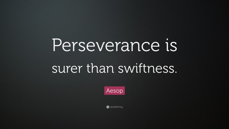 Aesop Quote: “Perseverance is surer than swiftness.”