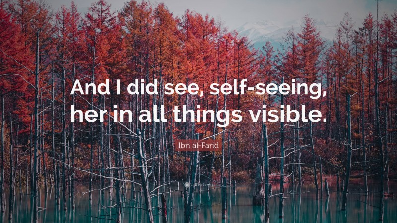 Ibn al-Farid Quote: “And I did see, self-seeing, her in all things visible.”