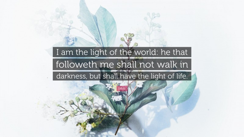 bible Quote: “I am the light of the world: he that followeth me shall not walk in darkness, but shall have the light of life.”
