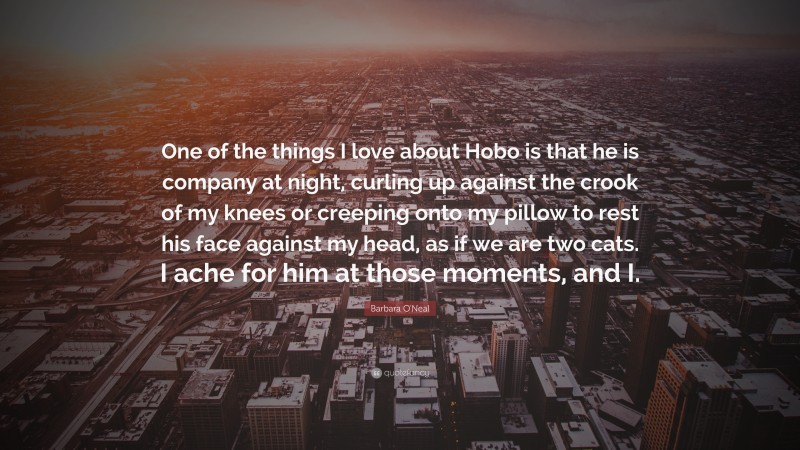 Barbara O'Neal Quote: “One of the things I love about Hobo is that he is company at night, curling up against the crook of my knees or creeping onto my pillow to rest his face against my head, as if we are two cats. I ache for him at those moments, and I.”