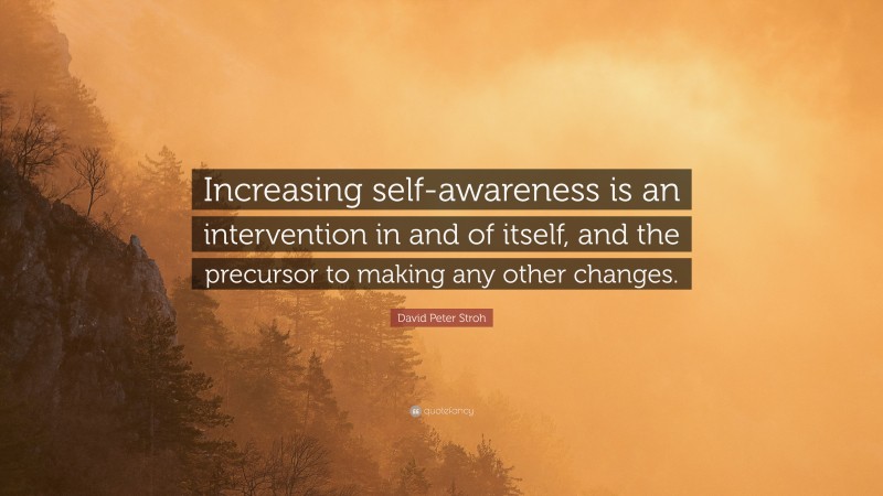 David Peter Stroh Quote: “Increasing self-awareness is an intervention in and of itself, and the precursor to making any other changes.”