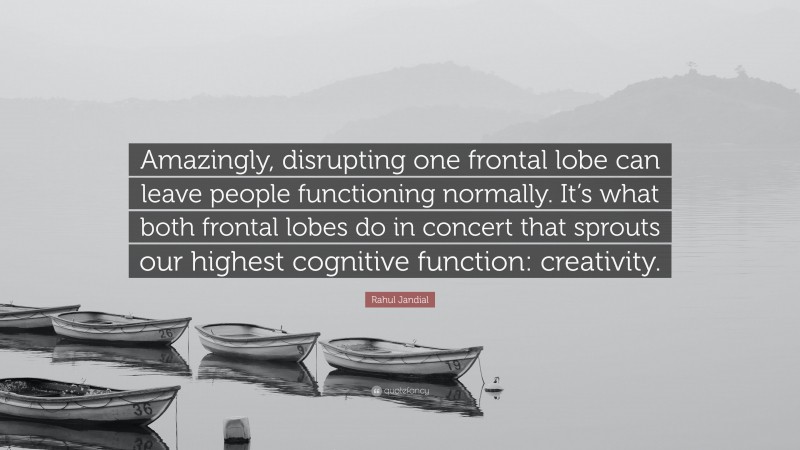 Rahul Jandial Quote: “Amazingly, disrupting one frontal lobe can leave people functioning normally. It’s what both frontal lobes do in concert that sprouts our highest cognitive function: creativity.”