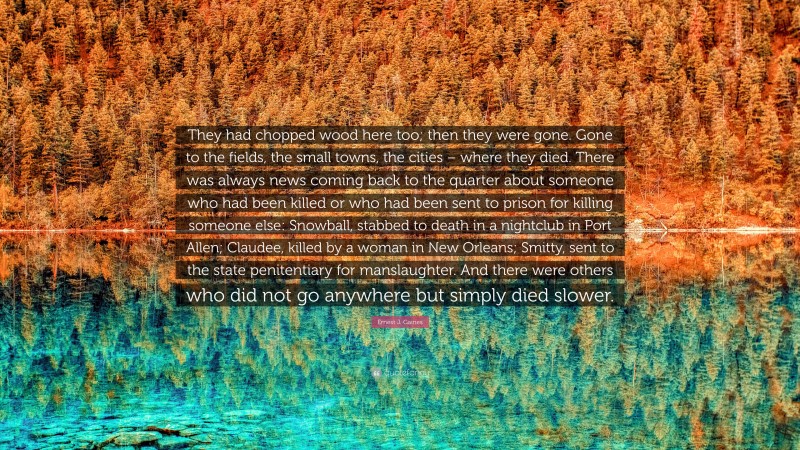 Ernest J. Gaines Quote: “They had chopped wood here too; then they were gone. Gone to the fields, the small towns, the cities – where they died. There was always news coming back to the quarter about someone who had been killed or who had been sent to prison for killing someone else: Snowball, stabbed to death in a nightclub in Port Allen; Claudee, killed by a woman in New Orleans; Smitty, sent to the state penitentiary for manslaughter. And there were others who did not go anywhere but simply died slower.”