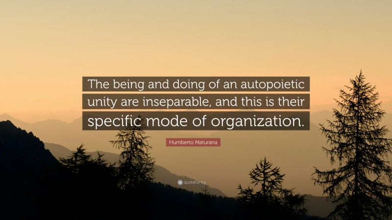 Humberto Maturana Quote: “The being and doing of an autopoietic unity are inseparable, and this is their specific mode of organization.”