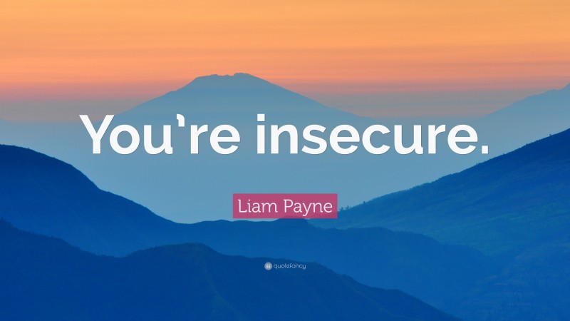 Liam Payne Quote: “You’re insecure.”