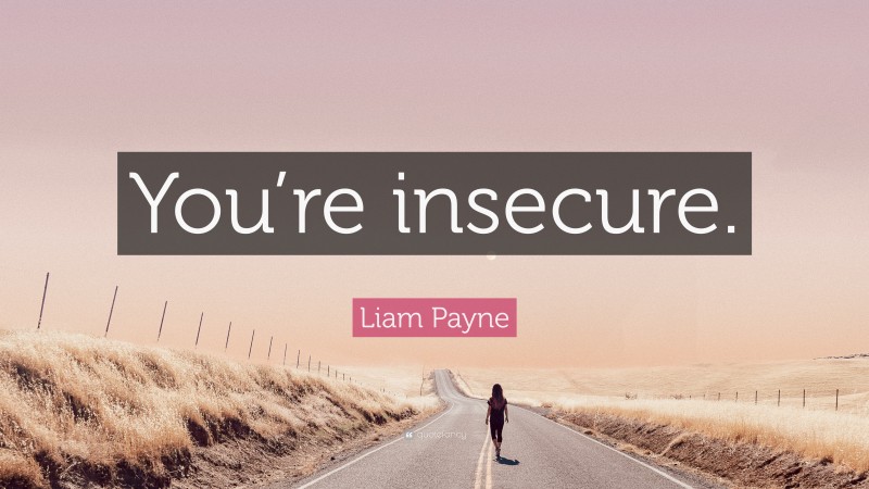 Liam Payne Quote: “You’re insecure.”