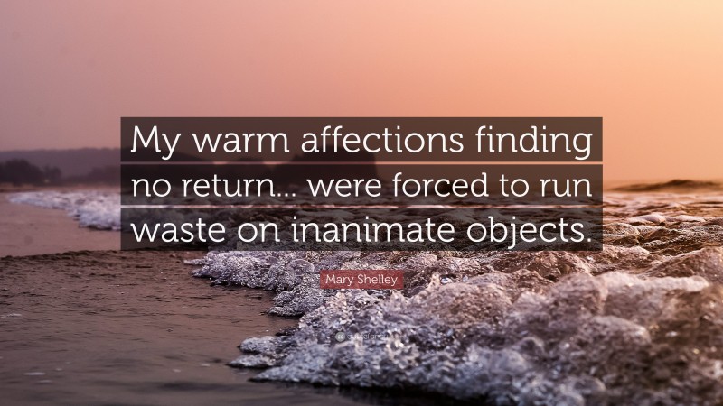 Mary Shelley Quote: “My warm affections finding no return... were forced to run waste on inanimate objects.”