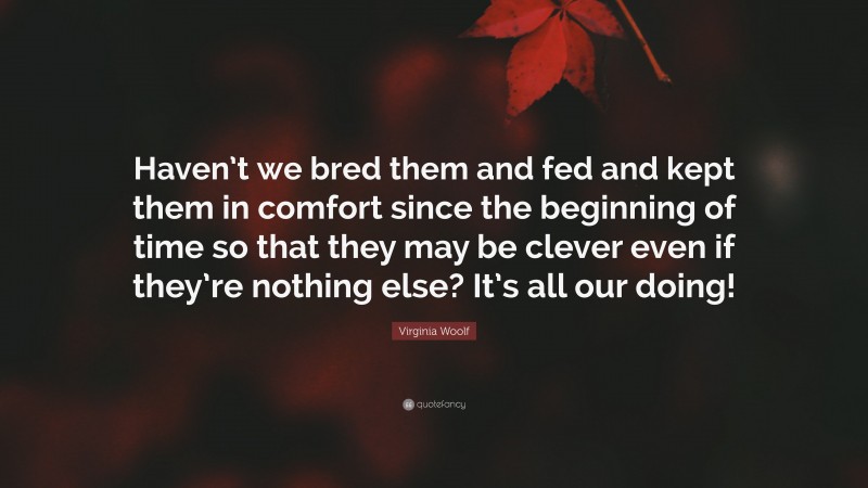 Virginia Woolf Quote: “Haven’t we bred them and fed and kept them in comfort since the beginning of time so that they may be clever even if they’re nothing else? It’s all our doing!”