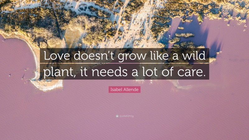 Isabel Allende Quote: “Love doesn’t grow like a wild plant, it needs a lot of care.”