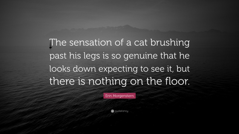 Erin Morgenstern Quote: “The sensation of a cat brushing past his legs is so genuine that he looks down expecting to see it, but there is nothing on the floor.”