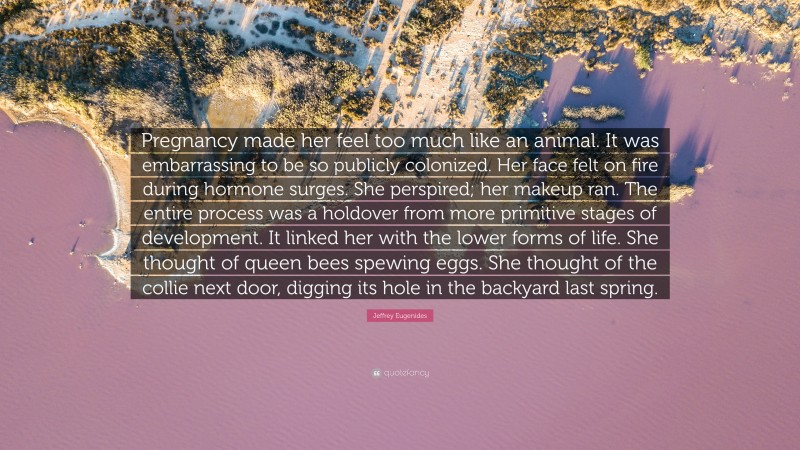 Jeffrey Eugenides Quote: “Pregnancy made her feel too much like an animal. It was embarrassing to be so publicly colonized. Her face felt on fire during hormone surges. She perspired; her makeup ran. The entire process was a holdover from more primitive stages of development. It linked her with the lower forms of life. She thought of queen bees spewing eggs. She thought of the collie next door, digging its hole in the backyard last spring.”