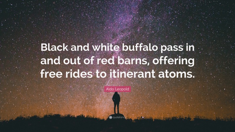 Aldo Leopold Quote: “Black and white buffalo pass in and out of red barns, offering free rides to itinerant atoms.”