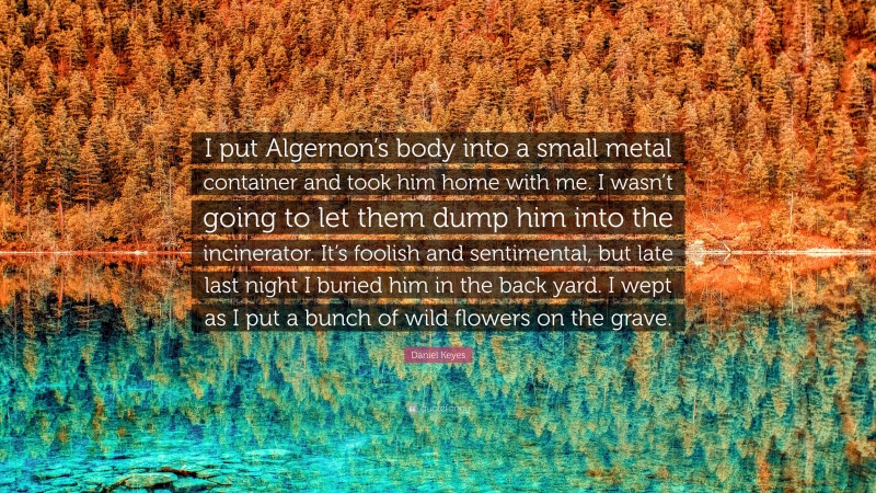 Daniel Keyes Quote: “I put Algernon’s body into a small metal container and took him home with me. I wasn’t going to let them dump him into the incinerator. It’s foolish and sentimental, but late last night I buried him in the back yard. I wept as I put a bunch of wild flowers on the grave.”