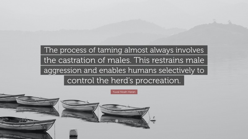 Yuval Noah Harari Quote: “The process of taming almost always involves the castration of males. This restrains male aggression and enables humans selectively to control the herd’s procreation.”
