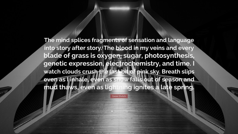 Gretel Ehrlich Quote: “The mind splices fragments of sensation and language into story after story. The blood in my veins and every blade of grass is oxygen, sugar, photosynthesis, genetic expression, electrochemistry, and time. I watch clouds crush the last bit of pink sky. Breath slips even as I inhale, even as snow falls out of season and mud thaws, even as lightning ignites a late spring.”