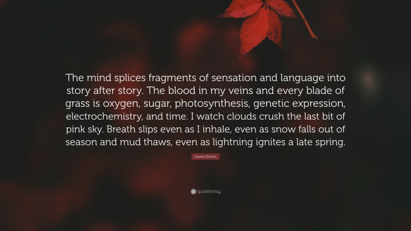 Gretel Ehrlich Quote: “The mind splices fragments of sensation and language into story after story. The blood in my veins and every blade of grass is oxygen, sugar, photosynthesis, genetic expression, electrochemistry, and time. I watch clouds crush the last bit of pink sky. Breath slips even as I inhale, even as snow falls out of season and mud thaws, even as lightning ignites a late spring.”