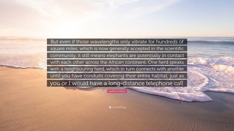 Lawrence Anthony Quote: “But even if those wavelengths only vibrate for hundreds of square miles, which is now generally accepted in the scientific community, it still means elephants are potentially in contact with each other across the African continent. One herd speaks with a neighbouring herd, which in turn connects with another until you have conduits covering their entire habitat, just as you or I would have a long-distance telephone call.”