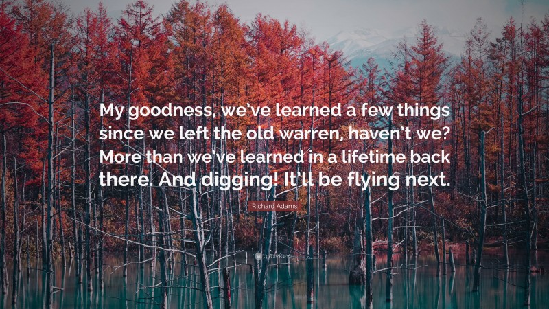 Richard Adams Quote: “My goodness, we’ve learned a few things since we left the old warren, haven’t we? More than we’ve learned in a lifetime back there. And digging! It’ll be flying next.”