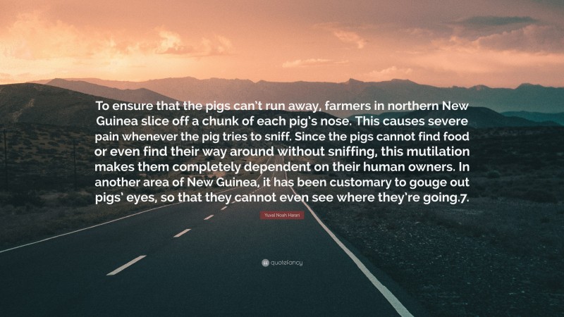 Yuval Noah Harari Quote: “To ensure that the pigs can’t run away, farmers in northern New Guinea slice off a chunk of each pig’s nose. This causes severe pain whenever the pig tries to sniff. Since the pigs cannot find food or even find their way around without sniffing, this mutilation makes them completely dependent on their human owners. In another area of New Guinea, it has been customary to gouge out pigs’ eyes, so that they cannot even see where they’re going.7.”