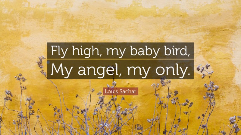 Louis Sachar Quote: “Fly high, my baby bird, My angel, my only.”