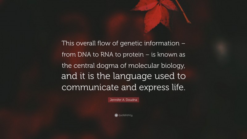Jennifer A. Doudna Quote: “This overall flow of genetic information – from DNA to RNA to protein – is known as the central dogma of molecular biology, and it is the language used to communicate and express life.”