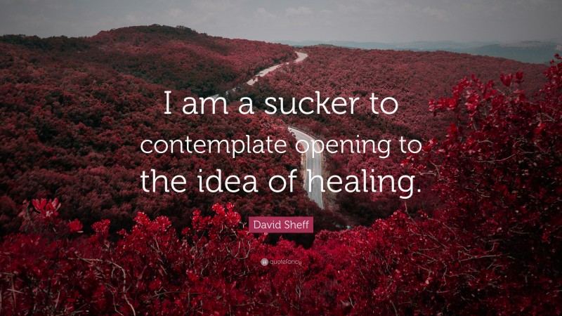 David Sheff Quote: “I am a sucker to contemplate opening to the idea of healing.”