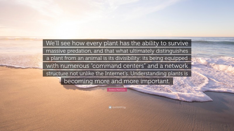 Stefano Mancuso Quote: “We’ll see how every plant has the ability to survive massive predation, and that what ultimately distinguishes a plant from an animal is its divisibility: its being equipped with numerous “command centers” and a network structure not unlike the Internet’s. Understanding plants is becoming more and more important.”