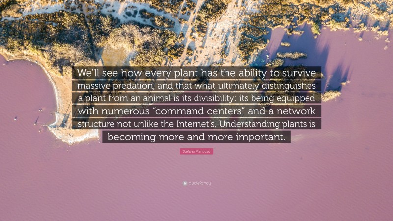Stefano Mancuso Quote: “We’ll see how every plant has the ability to survive massive predation, and that what ultimately distinguishes a plant from an animal is its divisibility: its being equipped with numerous “command centers” and a network structure not unlike the Internet’s. Understanding plants is becoming more and more important.”