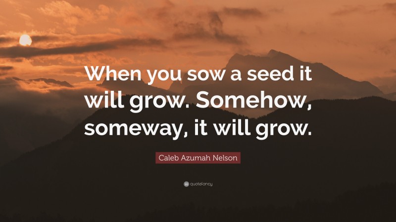 Caleb Azumah Nelson Quote: “When you sow a seed it will grow. Somehow, someway, it will grow.”