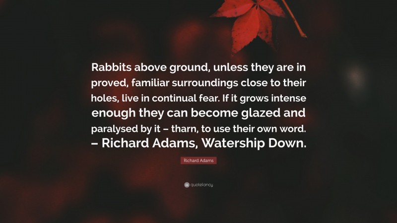 Richard Adams Quote: “Rabbits above ground, unless they are in proved, familiar surroundings close to their holes, live in continual fear. If it grows intense enough they can become glazed and paralysed by it – tharn, to use their own word. – Richard Adams, Watership Down.”