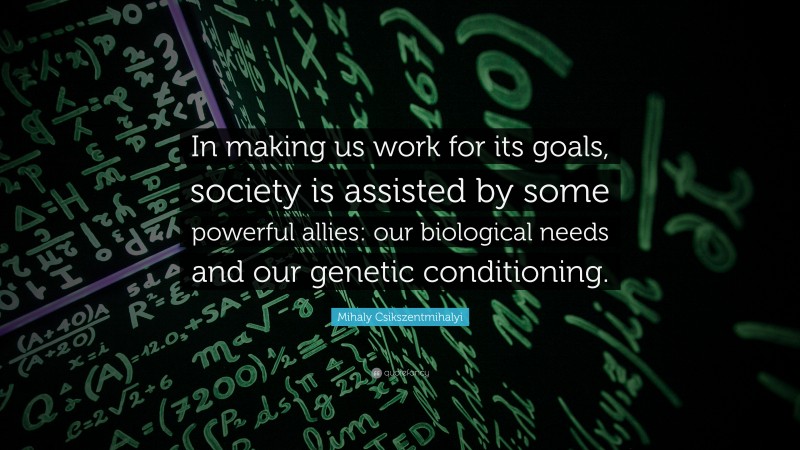 Mihaly Csikszentmihalyi Quote: “In making us work for its goals, society is assisted by some powerful allies: our biological needs and our genetic conditioning.”