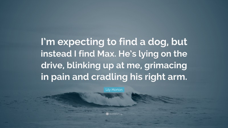 Lily Morton Quote: “I’m expecting to find a dog, but instead I find Max. He’s lying on the drive, blinking up at me, grimacing in pain and cradling his right arm.”