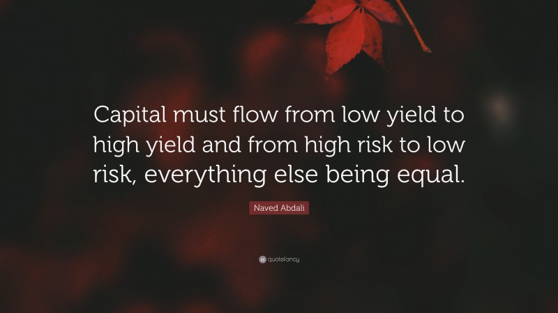 Naved Abdali Quote: “Capital must flow from low yield to high yield and from high risk to low risk, everything else being equal.”