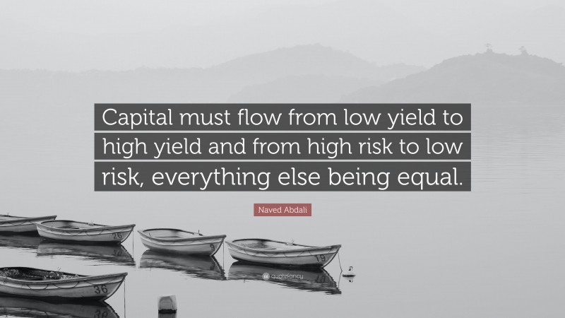 Naved Abdali Quote: “Capital must flow from low yield to high yield and from high risk to low risk, everything else being equal.”