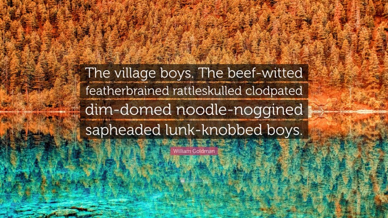 William Goldman Quote: “The village boys. The beef-witted featherbrained rattleskulled clodpated dim-domed noodle-noggined sapheaded lunk-knobbed boys.”
