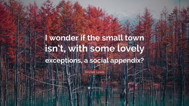 Sinclair Lewis Quote: “I wonder if the small town isn’t, with some lovely exceptions, a social appendix?”