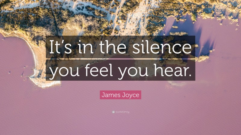 James Joyce Quote: “It’s in the silence you feel you hear.”