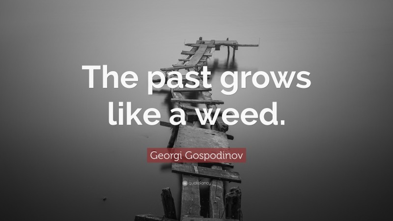 Georgi Gospodinov Quote: “The past grows like a weed.”