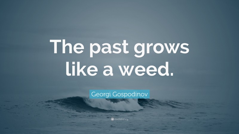 Georgi Gospodinov Quote: “The past grows like a weed.”