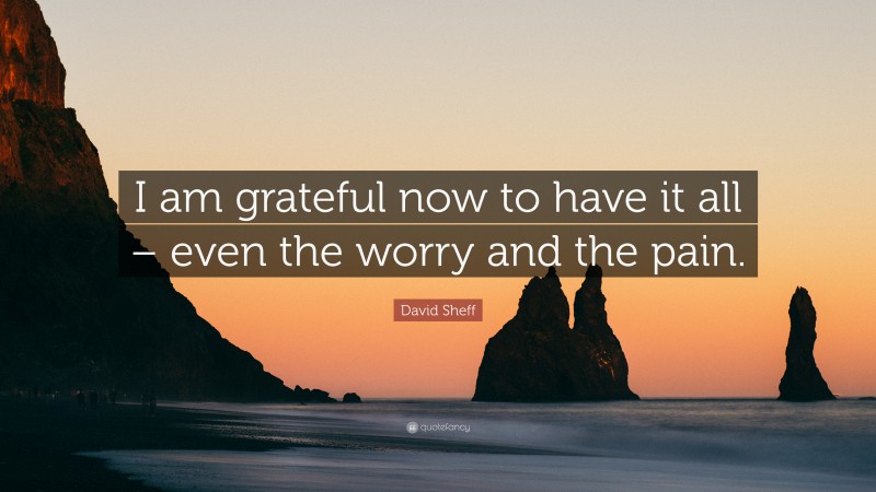 David Sheff Quote: “I am grateful now to have it all – even the worry and the pain.”