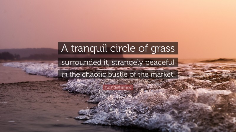 Tui T. Sutherland Quote: “A tranquil circle of grass surrounded it, strangely peaceful in the chaotic bustle of the market.”