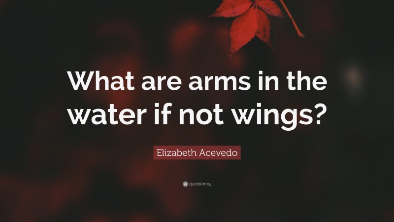 Elizabeth Acevedo Quote: “What are arms in the water if not wings?”