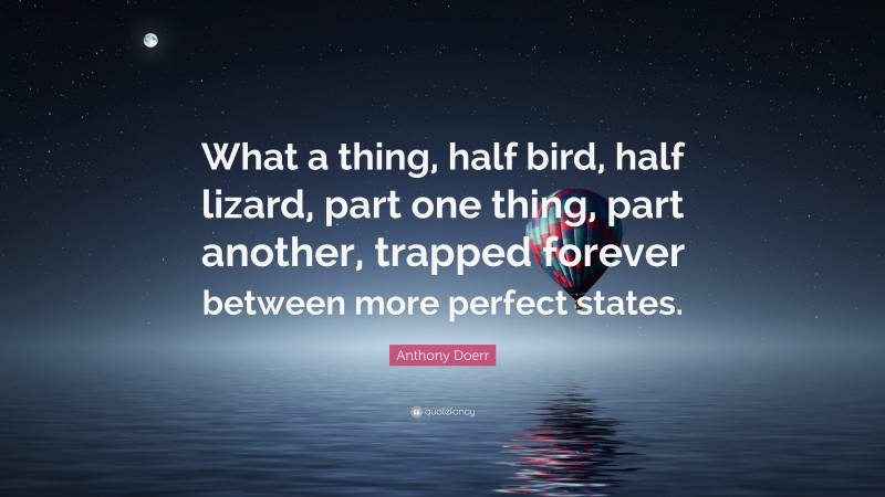 Anthony Doerr Quote: “What a thing, half bird, half lizard, part one thing, part another, trapped forever between more perfect states.”