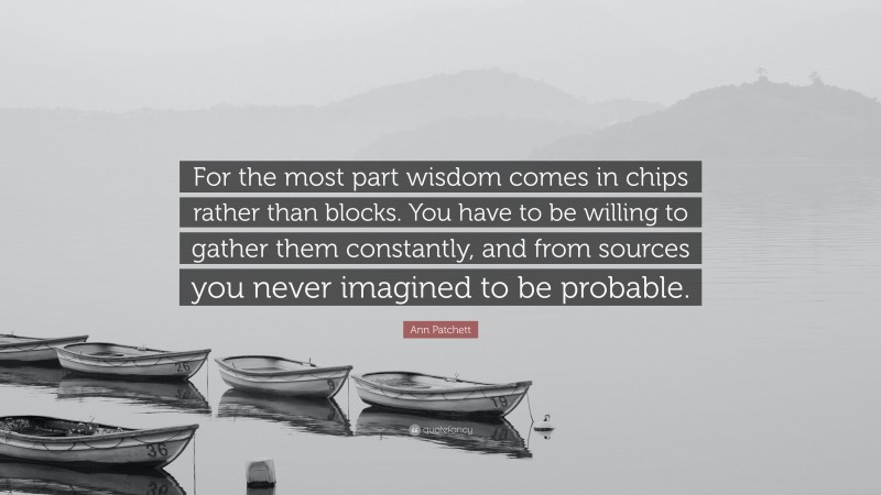 Ann Patchett Quote: “For the most part wisdom comes in chips rather than blocks. You have to be willing to gather them constantly, and from sources you never imagined to be probable.”